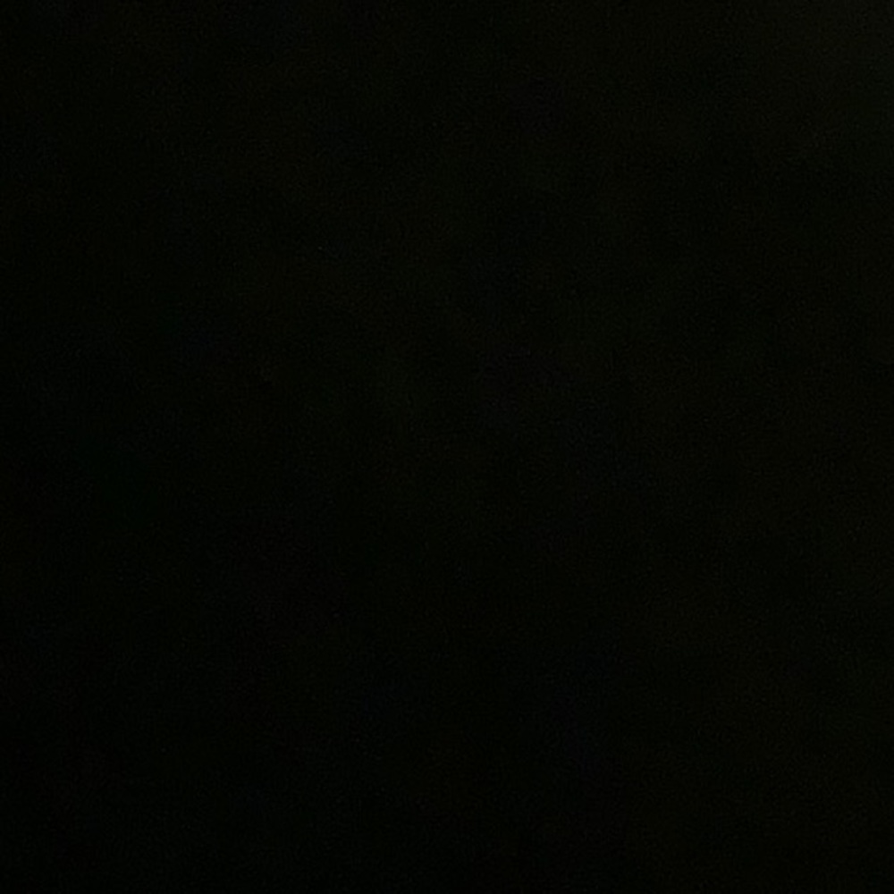 Meet your Posher, Vick